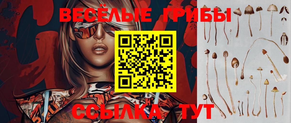 Галлюциногенные грибы мицелий Избербаш