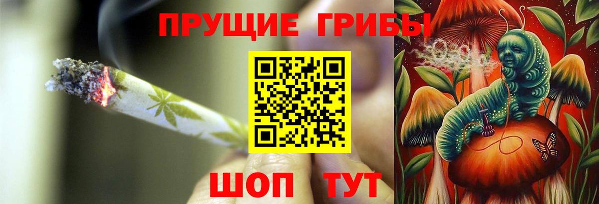 Избербаш  Псилоцибиновые грибы Magic Shrooms  Вход с VPN 
